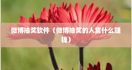 微博抽奖软件（微博抽奖的人靠什么赚钱）