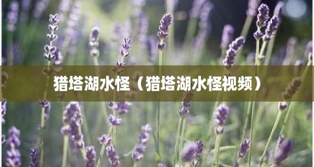 猎塔湖水怪（猎塔湖水怪视频）