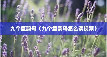 九个复韵母（九个复韵母怎么读视频）