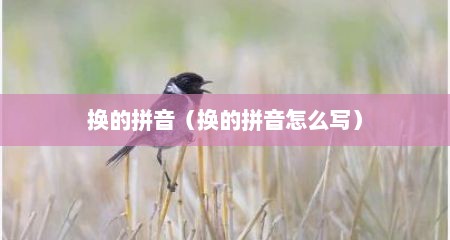换的拼音（换的拼音怎么写）