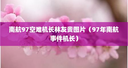 南航97空难机长林友贵图片（97年南航事件机长）
