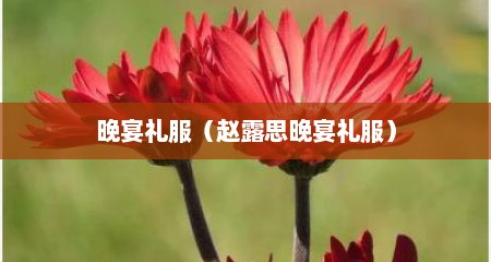 晚宴礼服（赵露思晚宴礼服）