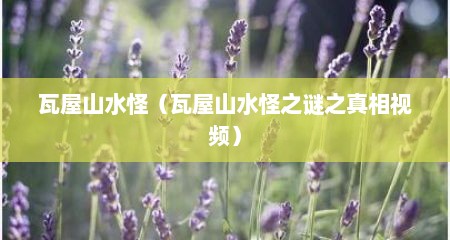 瓦屋山水怪（瓦屋山水怪之谜之真相视频）