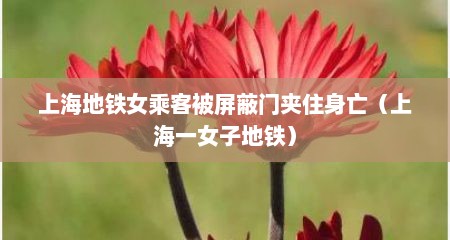 上海地铁女乘客被屏蔽门夹住身亡（上海一女子地铁）