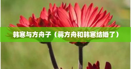 韩寒与方舟子（蒋方舟和韩寒结婚了）
