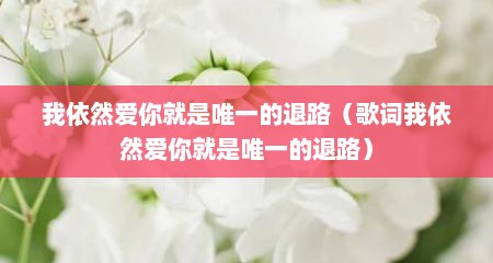 我依然爱你就是唯一的退路（歌词我依然爱你就是唯一的退路）