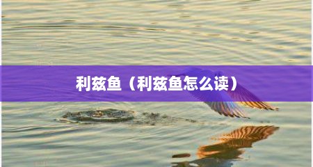 利兹鱼（利兹鱼怎么读）
