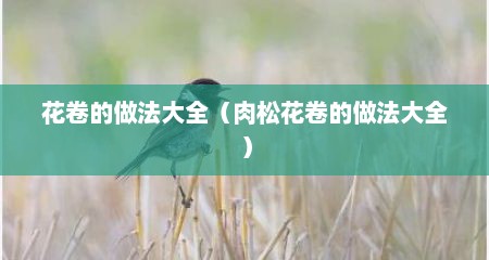 花卷的做法大全（肉松花卷的做法大全）