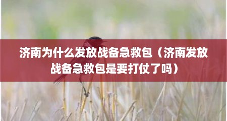 济南为什么发放战备急救包（济南发放战备急救包是要打仗了吗）