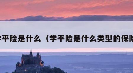 学平险是什么（学平险是什么类型的保险）