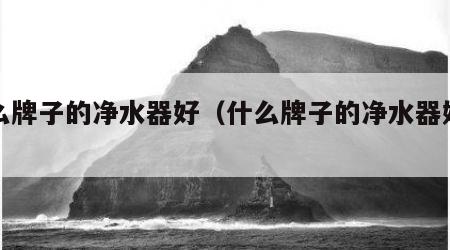 什么牌子的净水器好（什么牌子的净水器好一点）