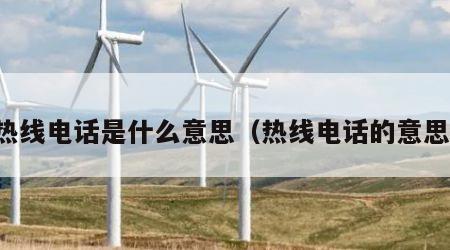 热线电话是什么意思（热线电话的意思）