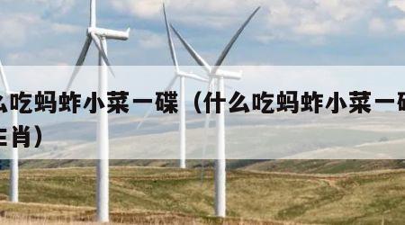 什么吃蚂蚱小菜一碟（什么吃蚂蚱小菜一碟打一生肖）
