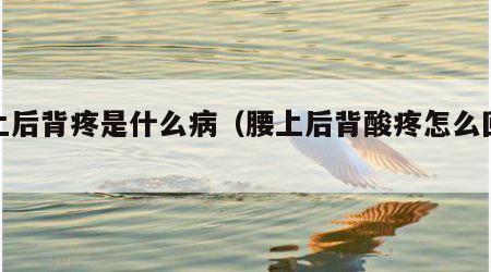 腰上后背疼是什么病（腰上后背酸疼怎么回事）