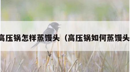 高压锅怎样蒸馒头（高压锅如何蒸馒头）