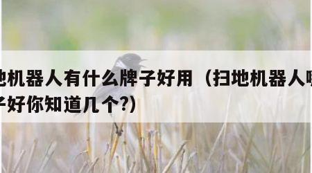 扫地机器人有什么牌子好用（扫地机器人哪个牌子好你知道几个?）