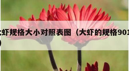大虾规格大小对照表图（大虾的规格90100）