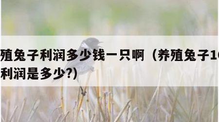 养殖兔子利润多少钱一只啊（养殖兔子100只利润是多少?）