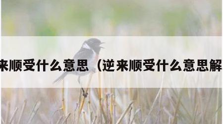 逆来顺受什么意思（逆来顺受什么意思解释）