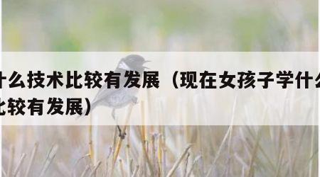 学什么技术比较有发展（现在女孩子学什么技术比较有发展）
