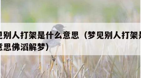 梦见别人打架是什么意思（梦见别人打架是什么意思佛滔解梦）