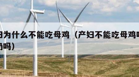 产妇为什么不能吃母鸡（产妇不能吃母鸡吗会回奶吗）