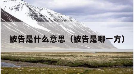 被告是什么意思（被告是哪一方）