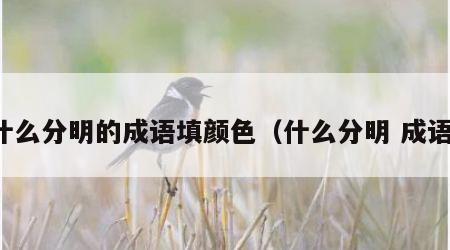 什么分明的成语填颜色（什么分明 成语）
