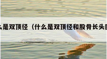 什么是双顶径（什么是双顶径和股骨长头围腹围）