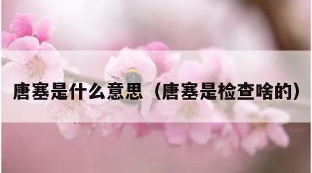 唐塞是什么意思（唐塞是检查啥的）