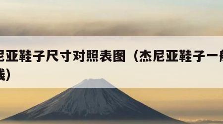 杰尼亚鞋子尺寸对照表图（杰尼亚鞋子一般多少钱）