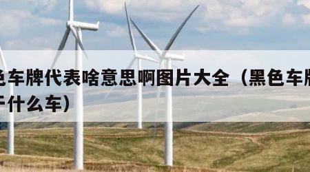 黑色车牌代表啥意思啊图片大全（黑色车牌是属于什么车）