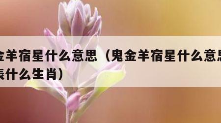鬼金羊宿星什么意思（鬼金羊宿星什么意思是代表什么生肖）