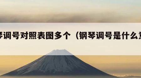 钢琴调号对照表图多个（钢琴调号是什么意思）