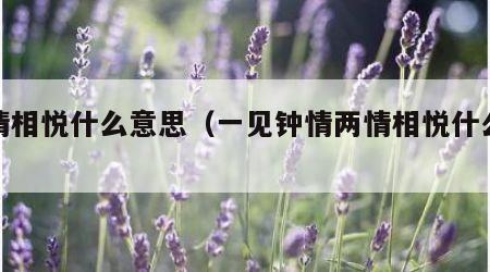 两情相悦什么意思（一见钟情两情相悦什么意思）