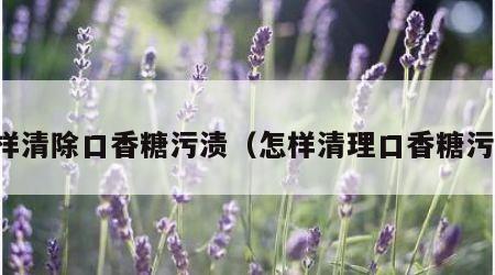 怎样清除口香糖污渍（怎样清理口香糖污渍）