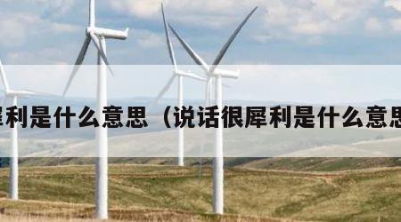 犀利是什么意思（说话很犀利是什么意思）