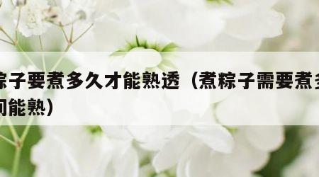 煮粽子要煮多久才能熟透（煮粽子需要煮多长时间能熟）