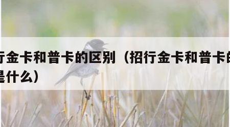 招行金卡和普卡的区别（招行金卡和普卡的区别是什么）