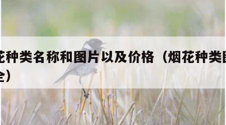 烟花种类名称和图片以及价格（烟花种类图片大全）