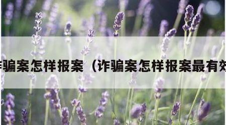 诈骗案怎样报案（诈骗案怎样报案最有效）