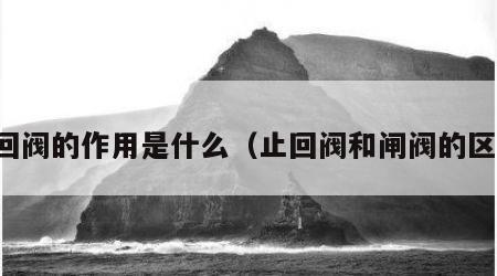 止回阀的作用是什么（止回阀和闸阀的区别）