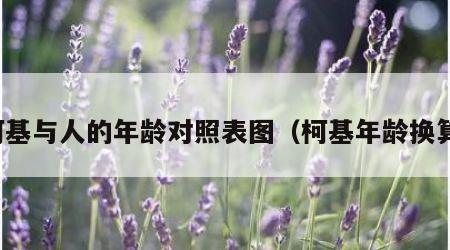 柯基与人的年龄对照表图（柯基年龄换算）