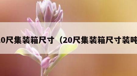 20尺集装箱尺寸（20尺集装箱尺寸装吨）
