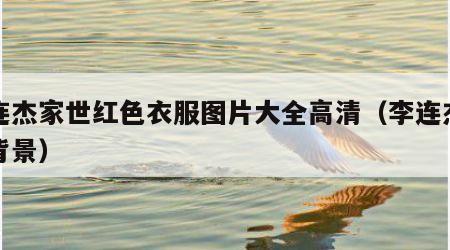 李连杰家世红色衣服图片大全高清（李连杰家室背景）