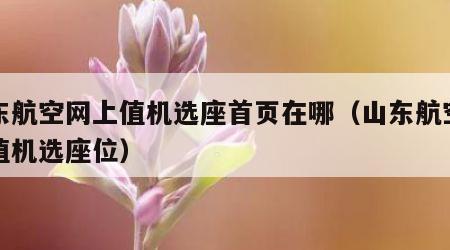 山东航空网上值机选座首页在哪（山东航空官网值机选座位）