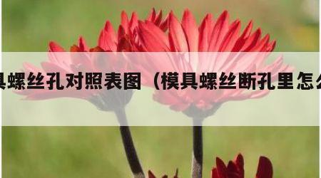 模具螺丝孔对照表图（模具螺丝断孔里怎么取出）