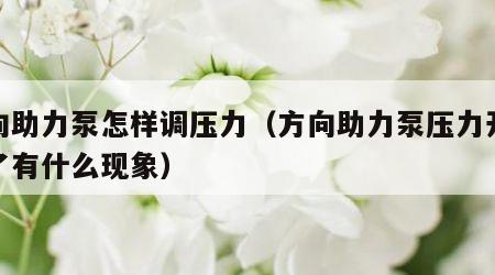 方向助力泵怎样调压力(方向助力泵压力开关坏了有什么现象)