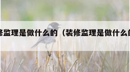 装修监理是做什么的（装修监理是做什么的工作）