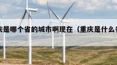 重庆是哪个省的城市啊现在（重庆是什么省呢）